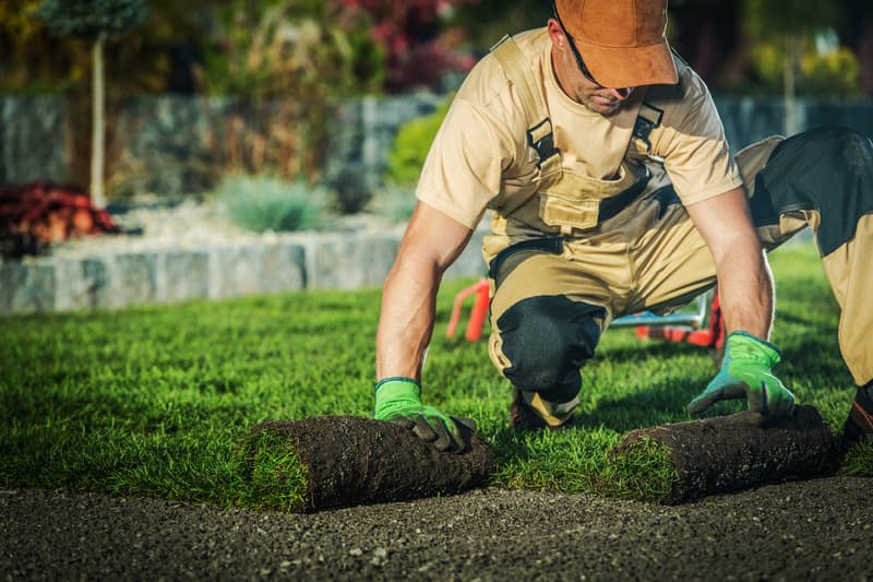 Landscaping · grounds